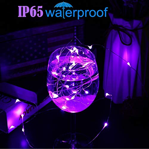 Image of RUICHEN Silver Wire 66 Ft 200 LED USB Fairy String Lights with On /Off Switch (Purple)