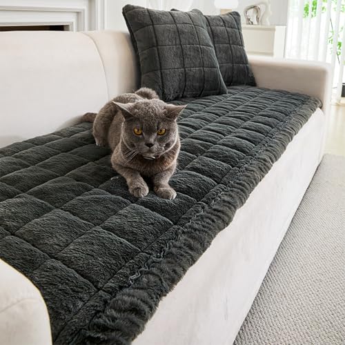 [DLAWF] �t���A�N�b�V���� ����~�� �\�t�@�[�p�b�h �k�� �������� �l�G�ʗp �J���[10 �M�t�g ���ʃN�b�V���� �������z�c �V�[�g�N�b�V���� �܂肽���� �����O�N�b�V���� ����� ������� 70*150 �_�炩�� ����S�n���� �􂦂� �P�i�̔�