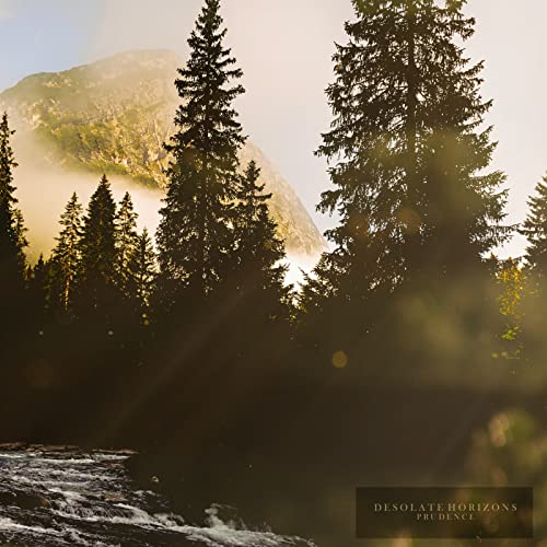 Desolate Horizons