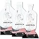 Bottle America 3-lagige, wiederverwendbare Wein-Reise-Schutzhüllen, stoß- und auslaufsicher, Tragetasche, Gepäck, Flugzeug, Kreuzfahrt, Auto, Geschenk, Urlaub, Party, 3 Stück mit 3 Luftpolsterfolien