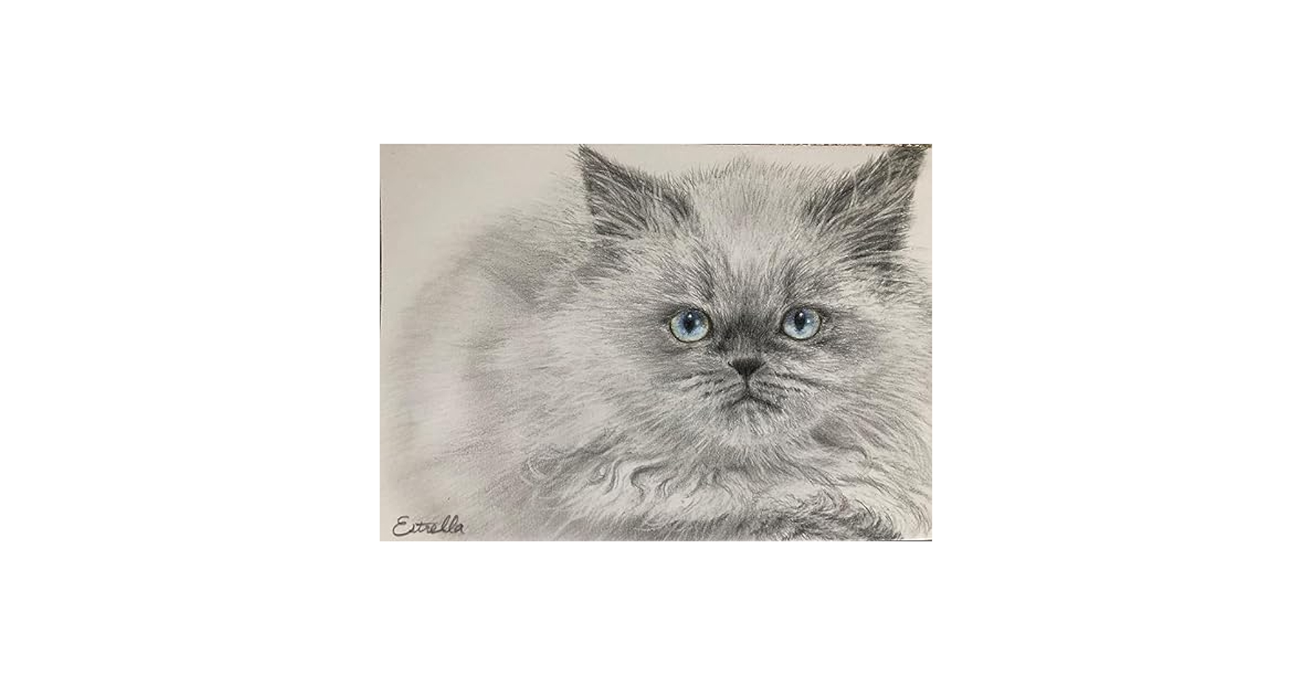 絵画3点まとめ売り MiniSaya 額入り 動物 色鉛筆 61i0d4H452L