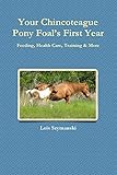 Your Chincoteague Pony Foal's First Year: Feeding, Health Care, Training & More