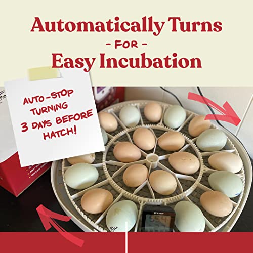 Harris Farms Nurture Right Egg Incubator