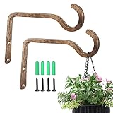 2 Pack 6 Inch Premium Decorative Metal Iron Wall Hook, Rustic Plant Hanger, Indoor Outdoor Gardening