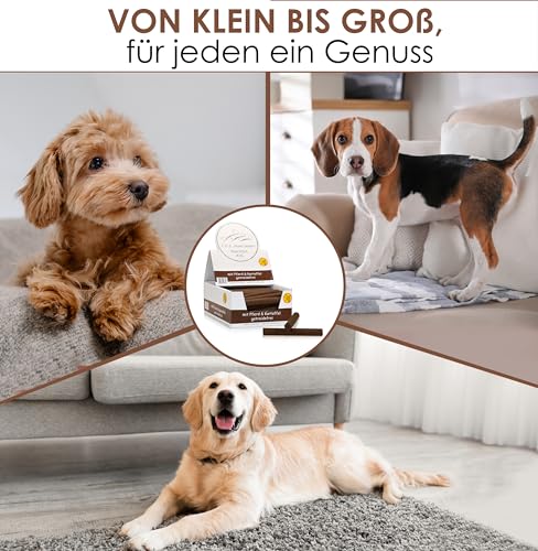 123... Hund dabei! - Kaurollen XXL 50er Tray (Pferd) - Dentalkaurolle - Getreidefrei - Vorteilspaket - Kaustangen für Hunde - Kausticks - Zahnpflege - Kaurollen für Hunde