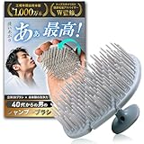 【頭皮のプロ監修】 シャンプーブラシ メンズ 【40代からの男の】 頭皮ブラシ スカルプブラシ ［Dear Mr.］ (アイスグレー（ノーマルタイプ）)