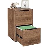 LUCYPAL 2 Drawer Wood File Cabinet, Vertical Storage Filing Cabinet with Hanging Bars for A4 or...