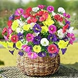 TINA Künstliche Blumen 8 Bündel Kunstblumen wie echt Künstliche Balkonpflanzen Outdoor Wetterfest Petunie Seidenblumen Blumenstrauß UV-beständig Gefälschte Blumen für Balkonkasten Deko Innen Außen
