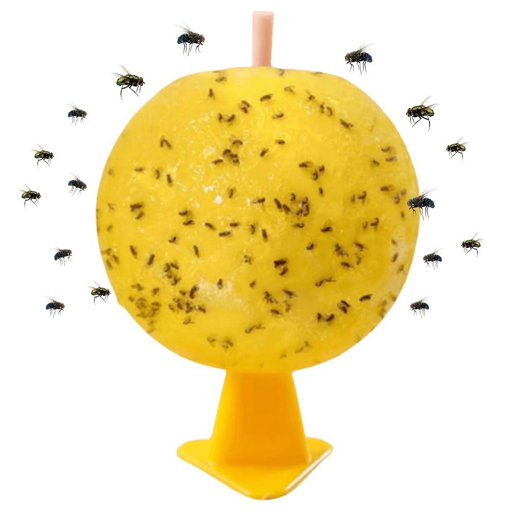 27 Stück Fruchtfliegenfalle Sticky Fruit Fly Trap Ball Multifunktionale Klebefallen Zitrusförmiges Design for Fruchtfliegen Trauermücken und Gnitzen (B)