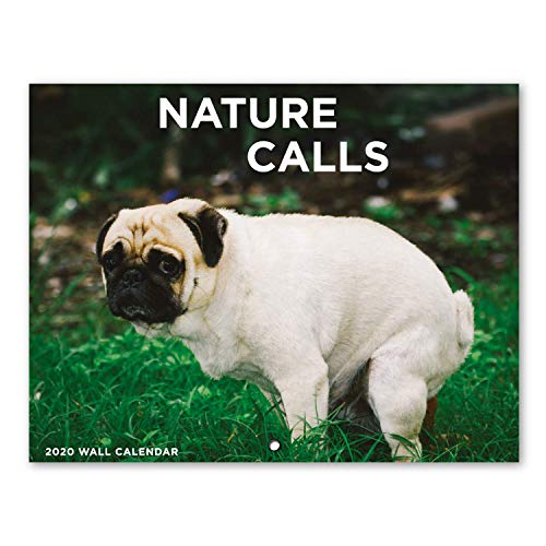 2020 Wall Calendar - Pooping Dogs 2020 Calendar with Thick Paper, Large 11