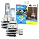 スフィアライト フォグランプ RIZINGα LED バルブ HB4 6000K 2800K 2色切替 12V 3600lm 日本製 2年保証 汎用 ハロゲンサイズ ポン付け ノイズ対策済 ライジングアルファ デュアルカラー SPHERELIGHT SRACHB4D