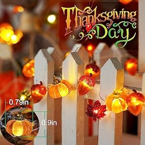 BOHON Thanksgiving Decoration Acorn 3D Pumpkin Maple Leaf String Lights Battery Operated with Remote 10ft 30 LEDs Orange Fall Lights for Home Autumn Garland Harvest Halloween Party Christmas Decor