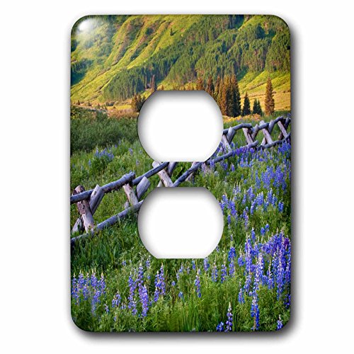 Cache-prise Lupines Colorado pour décorer un salon rustique - 2