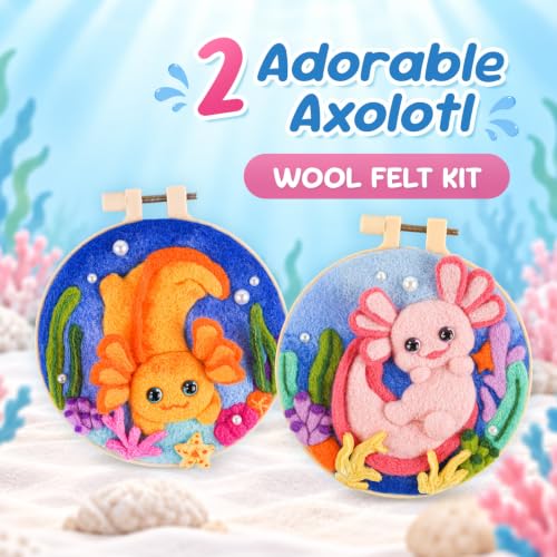 Image of Needle Felting Kit,Embroidery kit for Beginners,Punch Needle Kits Adults Beginner,Punch Needle kit for Beginners, Includes All Tools and Materials,Easy to Follow Instructions and Videos(Axolotl)