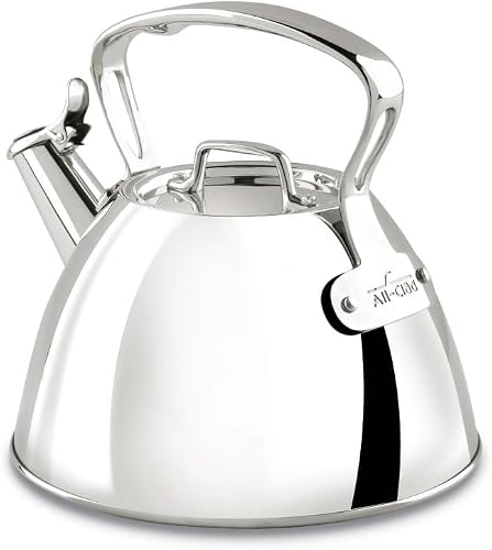 Specialty Stainless Steel Tea Kettle 2 Quart Induction Pots and Pans, Cookware Silver