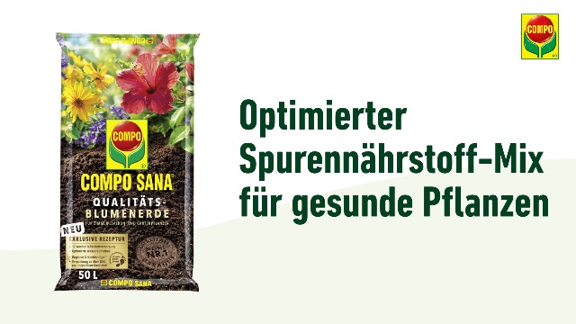 biologisches saatgut aus dem eigenen garten BIO Saatgut Selbstversorger-Box – Biogartenladen main image 0