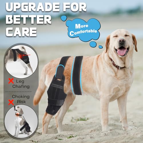 Image of Adjustable Dog ACL Knee Brace - Rear Leg Support for Cruciate Ligament Recovery, Arthritis & Joint Pain Relief (Left,XL)