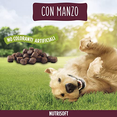 PURINA FRISKIES Nutri Soft 5 Versprechen Trockenfutter für Erwachsene Hunde mit Rind, 6 Beutel à 1,5 kg