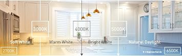 EcoSmart 75-Watt Equivalent R20 Dimmable LED Light Bulb Daylight (3-Pack)