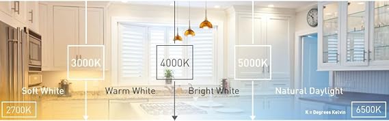(12-Bulbs) EcoSmart 65-Watt Equivalent BR30 Dimmable LED Light Bulb, Bright White