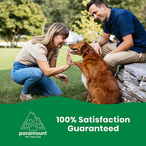 All-Natural Joint Pain Relief For Dogs - Vegetarian Glucosamine Without Shellfish - Msm Supplement For Pain - Vet Recommended Glucosamine Vegetarian - Arthritis Medicine & Glucosamine With Msm (32 Oz) #TOP5