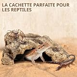 wlsvega cachette en résine d’angle, 12,5 x 9 x 6,5 cm photo 6