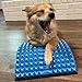 SOLIDBACK | Lower Back Pain Relief Treatment Stretcher | Chronic Lumbar Support | Herniated Disc | Sciatica Nerve | Spinal Stenosis | Posture Corrector | Pillow Cushion And Brace Products Alternative