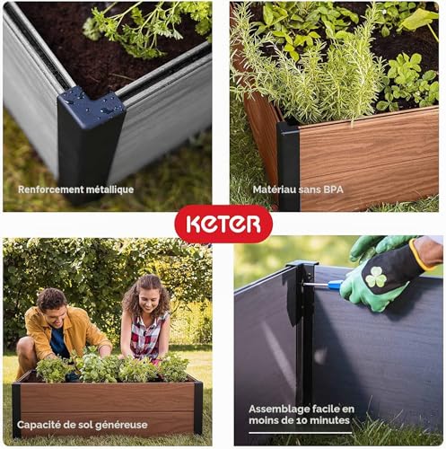 Lit de jardin surélevé Keter en érable pour potager de terrasse