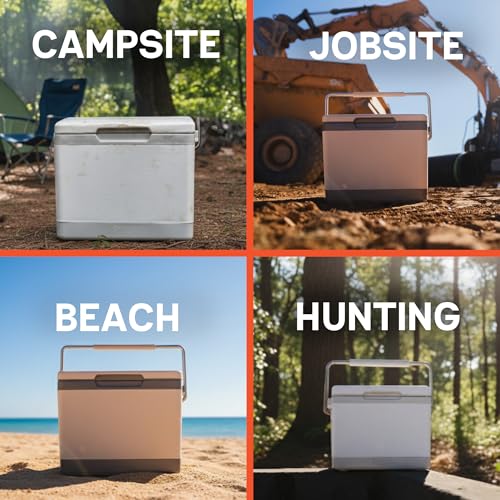 The 30 Best Hard Shell Lunch Boxes of 2026 [Verified] - Cherry Picks
