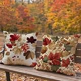 【MISURE E MODELLI MULTIPLI】Federe cuscini divano 55x55 confezione da 2, consigliate per riempire cuscini 55x55. Offriamo federe in molte misure e migliaia di modelli diversi, e i modelli dei cuscini sono originali. Cerca il nostro marchio 