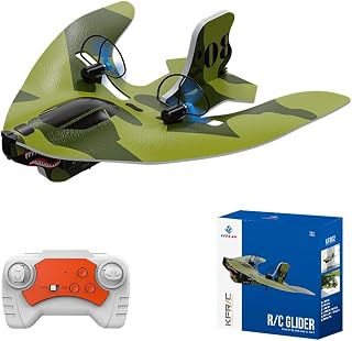Mini RC Plane For Beginners
