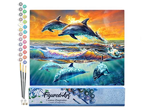 Figured'Art Peinture par Numéro Adulte Aube de Dauphins - Activité Manuelle Kit de Loisir Créatif DIY Numéro d'Art Complet - 40x50cm sans châssis en bois