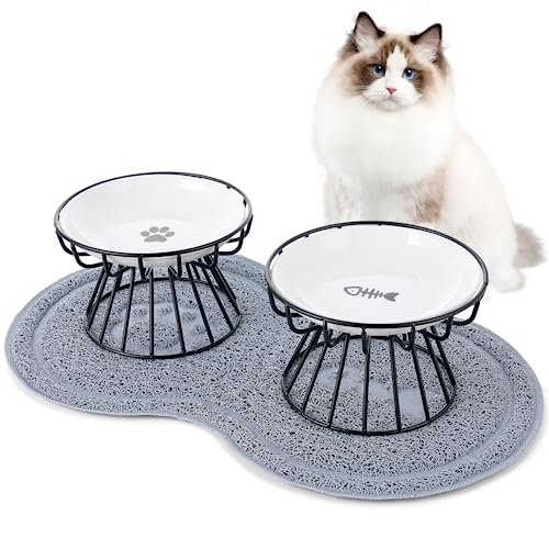 Cat Feeding Station The 15 best products compared Wild Explained