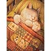 Pintoo - Two Plastic Jigsaw Puzzles Bundle - 300 Piece - Phoenix Chan - Fall Asleep and 1000 Piece - Beautiful Sunrise Over Amsterdam [H2429+H1770]