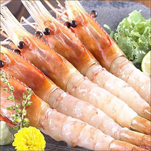 北のデリシャス ロシア産 エビ ボタンエビ (BL/オス/生冷凍) 海鮮 水産 特大 エビ 海老 ぼたんえび 刺身 北海道 グルメ お取り寄せ