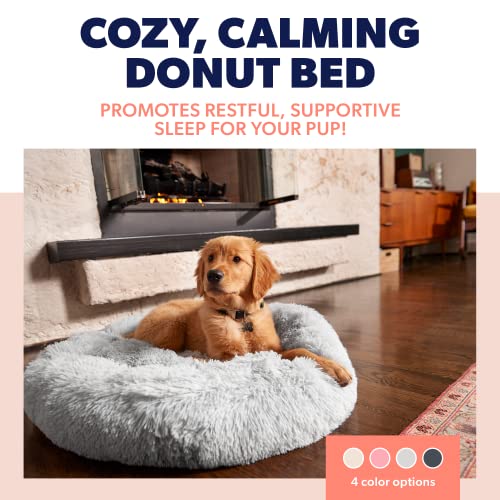 Active Pets Dog Donut Bed, Large 36' (Grey) #TOP1