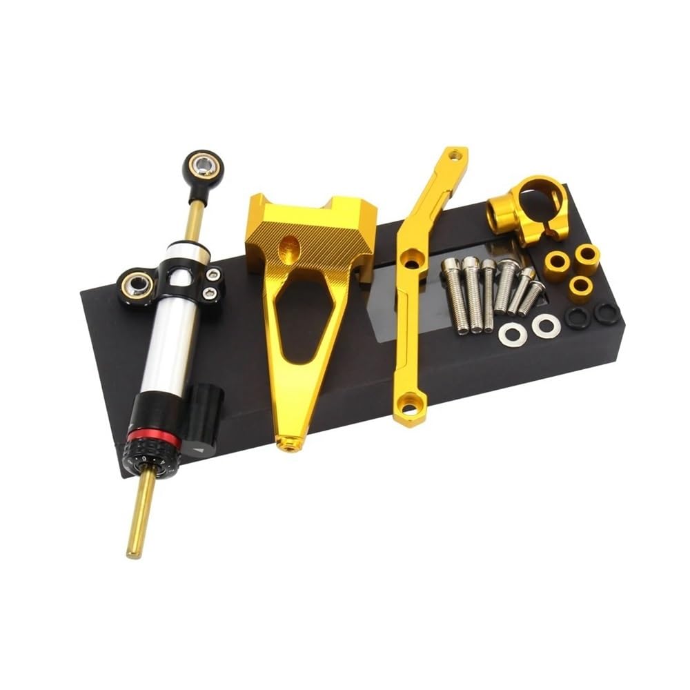 Stabilizer Level Damping Motorcycle Steering Stabilize Damper Bracket Mount for MT-09 MT09 FZ09 FZ-09 2013-2016 2017 2018 2019 SP