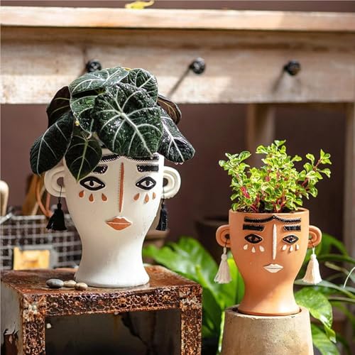 Pots for succulentes en forme de tête avec structure stable pour intérieur - 3