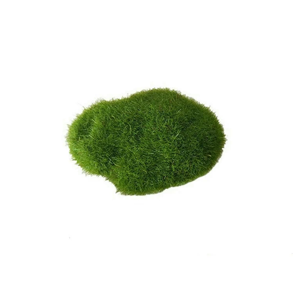 LNHBZ 10Pcs Simulation Moss Stone Artificial Moss Rocks Ball Fake Green Plant for Home Garden Flower Pot Decoration Creative Crafts-5x7cm