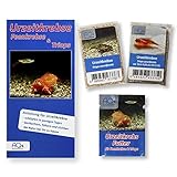 Triops cancriformis - naturfarben und beni kabuto ebi (rot) - 2 * Zuchtansatz mit Urzeitkrebseiern, diese Triopsarten bieten das ideale Einsteigerset in die Welt der Triopszucht
