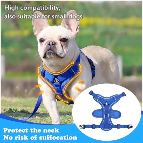 Escape Proof Kitten Harness and Leash Set - Adjustable Soft Mesh Vest for Small Cats, Reflective Breathable Walking Harness with 4 Buckles