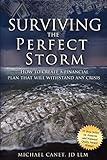 Surviving The Perfect Storm: How To Create A Financial Plan That will Withstand Any Crisis