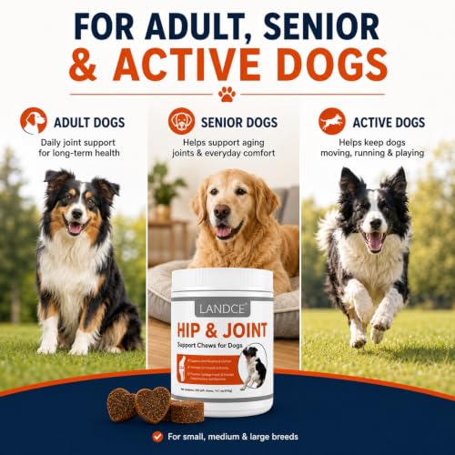 Soft Chews for Dogs  - image 5