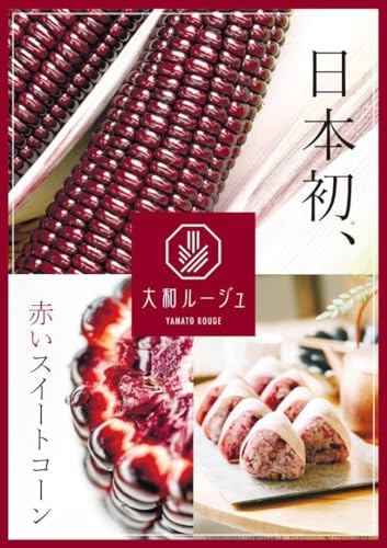 ؂̎큄RO ԂgERV F1a[W XC[gR[ {