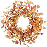 VGIA 18 Inch Eucalyptus Leaves Fall Wreath - Artificial Autumn Farmhouse Wreath for Front Door, Home Wall and Window Decorations