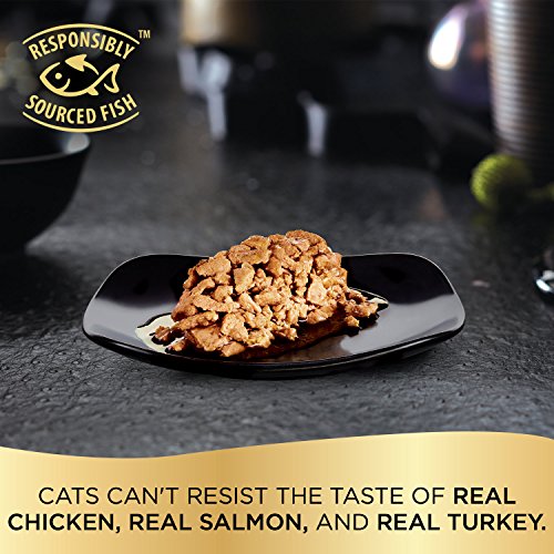 SHEBA-PERFECT-PORTIONS-Cuts-in-Gravy-Adult-Wet-Cat-Food-Trays-24-Count-48-Servings-Roasted-Chicken-Gourmet-Salmon-and-Tender-Turkey-Entre-Easy-Peel-Twin-Pack-Trays