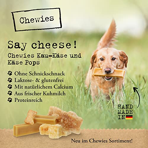 Chewies Mini-Pops Käse Leckerli für Ihren Hund - Knusper Käse-Snack Leckereien für Hunde - laktosefreie, kalorienarme Hundeleckerli getreidefrei aus Kuh-Milch, made in Germany (35g)