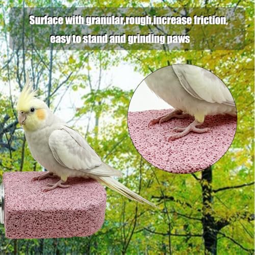 Image of 4 PC Bird Perch Stand Pet Teeth Grinding Stone for Small Birds
