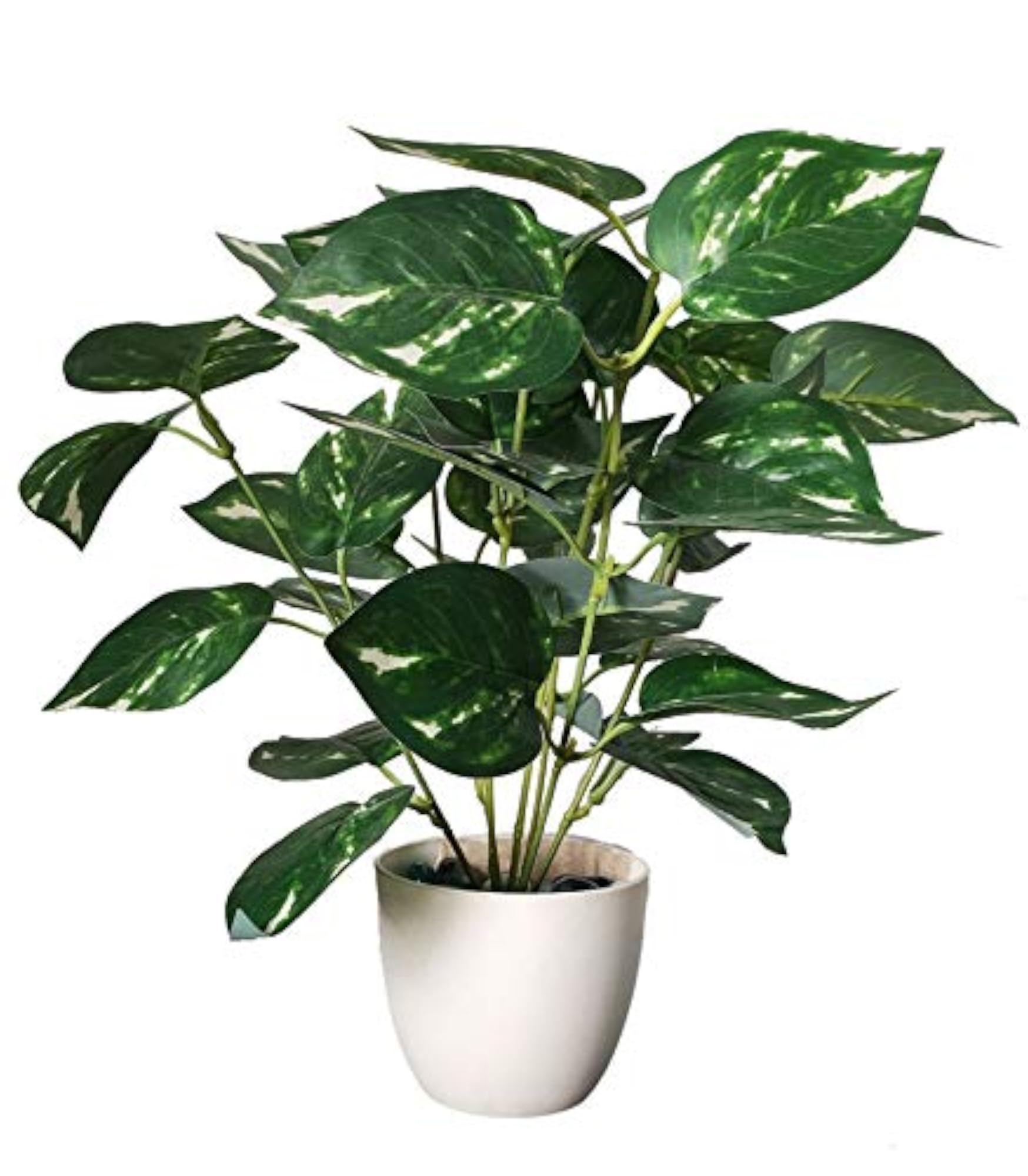 Natural Looking Money Plant Bonsai Artificial Plant