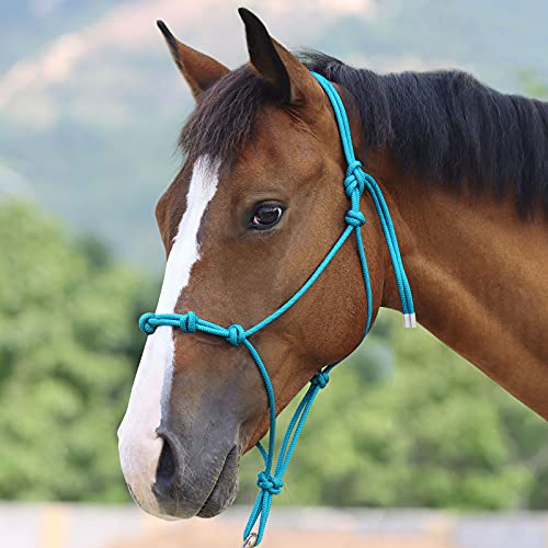 Cabestro de cuerda para caballo Harrison Howard súper resistente de 4 nudos turquesa 3